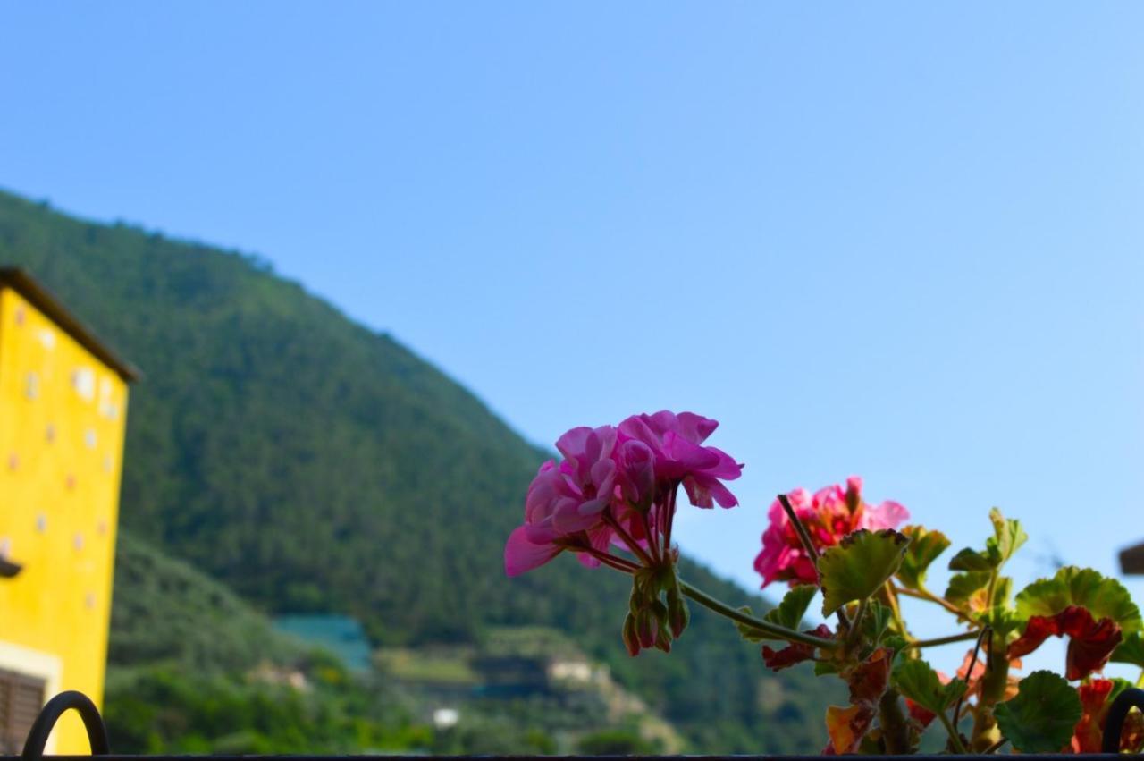 Вилла Alloggio U Sportegu Da E Monti A Giaia Бадалукко Экстерьер фото